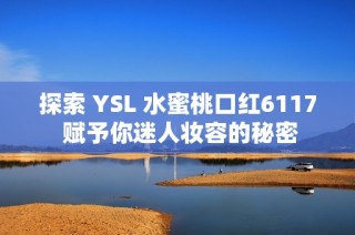 探索 YSL 水蜜桃口红6117 赋予你迷人妆容的秘密