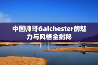 中国帅哥Galchester的魅力与风格全揭秘