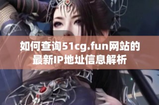 如何查询51cg.fun网站的最新IP地址信息解析