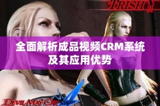 全面解析成品视频CRM系统及其应用优势