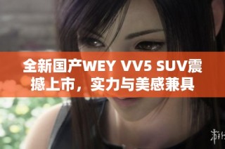 全新国产WEY VV5 SUV震撼上市，实力与美感兼具