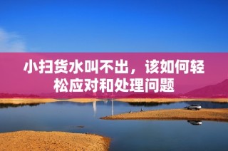 小扫货水叫不出，该如何轻松应对和处理问题