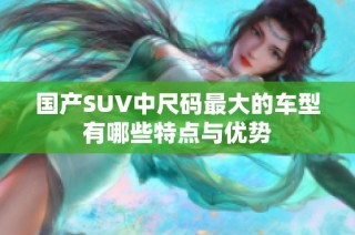 国产SUV中尺码最大的车型有哪些特点与优势