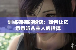 训练狗狗的秘诀：如何让它乖乖听从主人的指挥