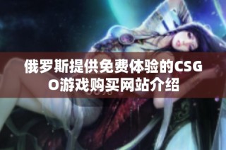 俄罗斯提供免费体验的CSGO游戏购买网站介绍