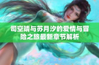 司空靖与苏月汐的爱情与冒险之旅最新章节解析