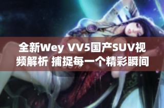 全新Wey VV5国产SUV视频解析 捕捉每一个精彩瞬间