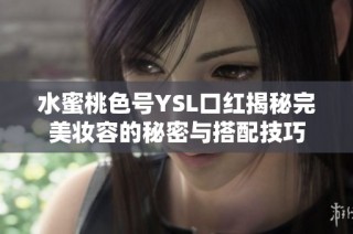 水蜜桃色号YSL口红揭秘完美妆容的秘密与搭配技巧