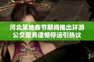 河北某地春节期间推出环游公交服务遗憾停运引热议