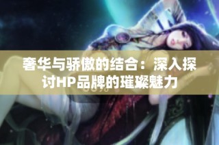 奢华与骄傲的结合：深入探讨HP品牌的璀璨魅力