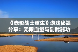 《赤影战士重生》游戏秘籍分享：无限血量与副武器功能揭秘