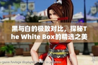 黑与白的极致对比，探秘The White Box的精选之美