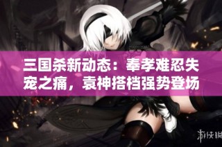 三国杀新动态：奉孝难忍失宠之痛，袁神搭档强势登场瞬间逆转局势