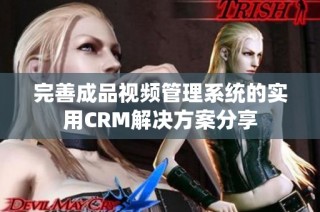 完善成品视频管理系统的实用CRM解决方案分享