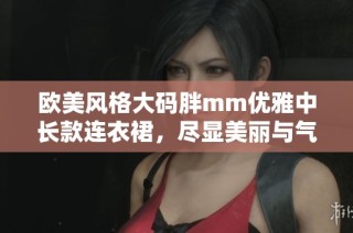 欧美风格大码胖mm优雅中长款连衣裙，尽显美丽与气质