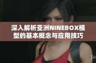 深入解析亚洲NINEBOX模型的基本概念与应用技巧