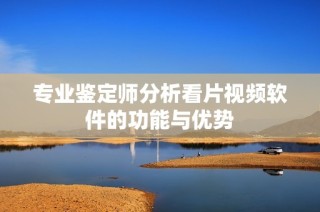 专业鉴定师分析看片视频软件的功能与优势