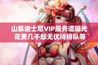 山寨迪士尼VIP服务遭曝光 花费几千却无优待排队等候