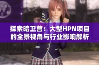 探索暗卫营：大型HPN项目的全景视角与行业影响解析