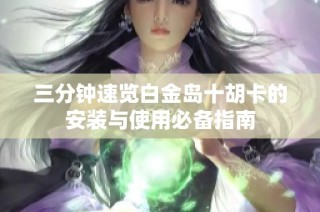 三分钟速览白金岛十胡卡的安装与使用必备指南