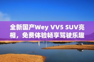 全新国产Wey VV5 SUV亮相，免费体验畅享驾驶乐趣