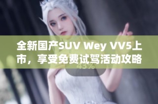 全新国产SUV Wey VV5上市，享受免费试驾活动攻略