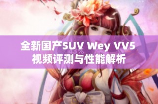 全新国产SUV Wey VV5 视频评测与性能解析