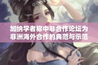 加纳学者称中非合作论坛为非洲海外合作的典范与示范