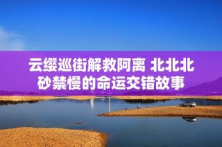 云缨巡街解救阿离 北北北砂禁慢的命运交错故事