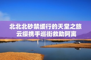 北北北砂禁缓行的天堂之旅 云缨携手巡街救助阿离