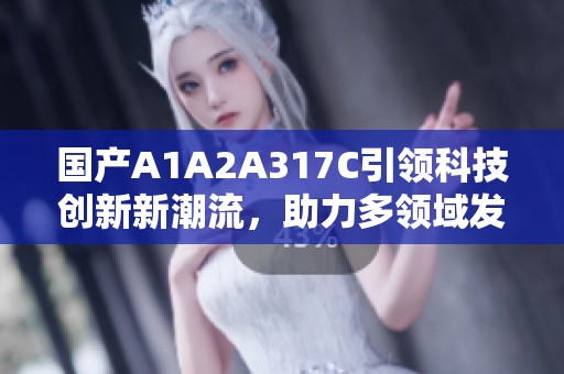 国产A1A2A317C引领科技创新新潮流，助力多领域发展