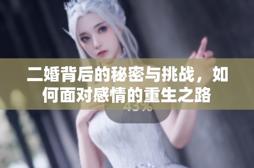 二婚背后的秘密与挑战，如何面对感情的重生之路