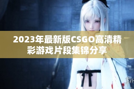 2023年最新版CSGO高清精彩游戏片段集锦分享