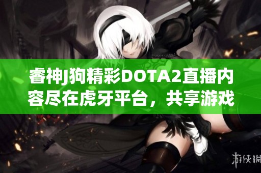 睿神J狗精彩DOTA2直播内容尽在虎牙平台，共享游戏乐趣