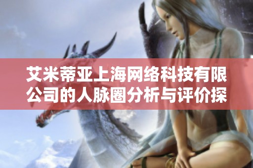 艾米蒂亚上海网络科技有限公司的人脉圈分析与评价探讨