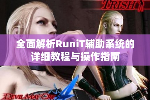 全面解析RuniT辅助系统的详细教程与操作指南