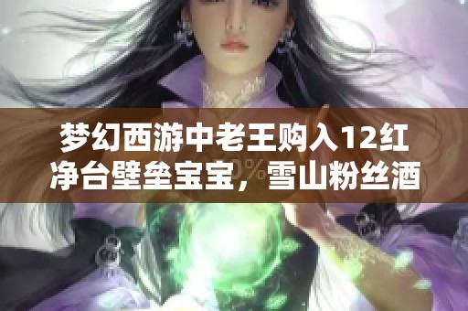 梦幻西游中老王购入12红净台壁垒宝宝，雪山粉丝酒吧热情宣传！