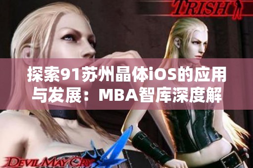 探索91苏州晶体iOS的应用与发展：MBA智库深度解析