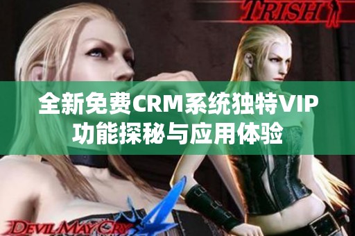 全新免费CRM系统独特VIP功能探秘与应用体验