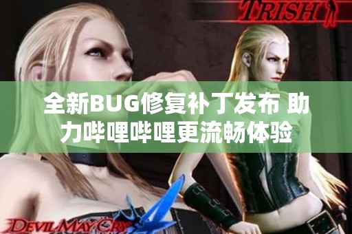 全新BUG修复补丁发布 助力哔哩哔哩更流畅体验