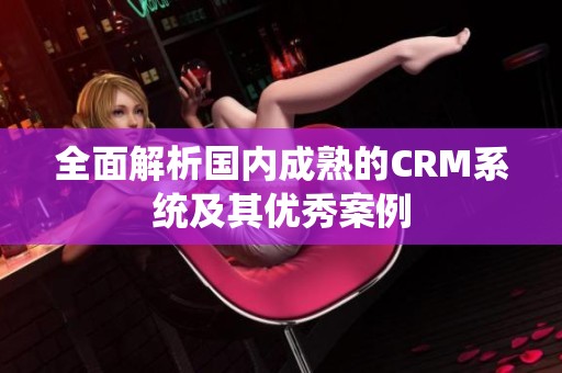 全面解析国内成熟的CRM系统及其优秀案例