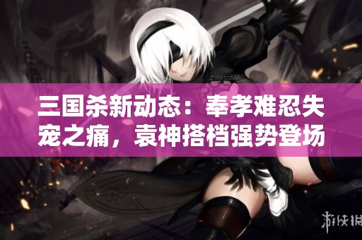 三国杀新动态：奉孝难忍失宠之痛，袁神搭档强势登场瞬间逆转局势