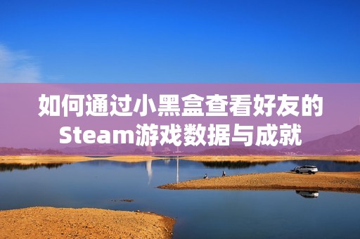 如何通过小黑盒查看好友的Steam游戏数据与成就