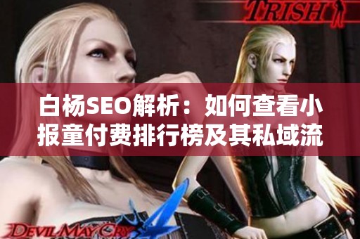 白杨SEO解析：如何查看小报童付费排行榜及其私域流量优势