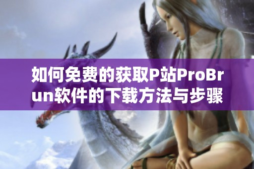 如何免费的获取P站ProBrun软件的下载方法与步骤