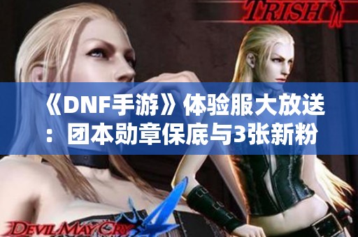 《DNF手游》体验服大放送：团本勋章保底与3张新粉卡曝光！