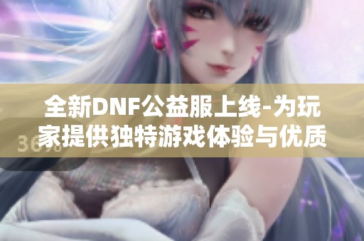 全新DNF公益服上线-为玩家提供独特游戏体验与优质服务