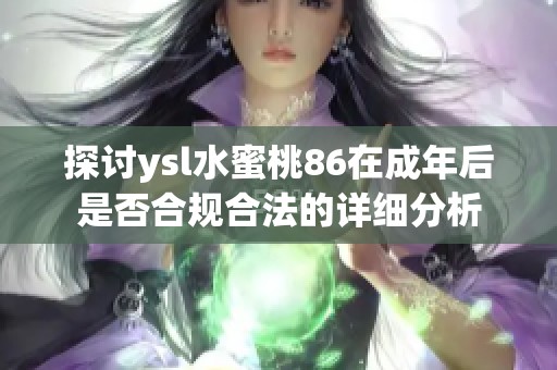 探讨ysl水蜜桃86在成年后是否合规合法的详细分析