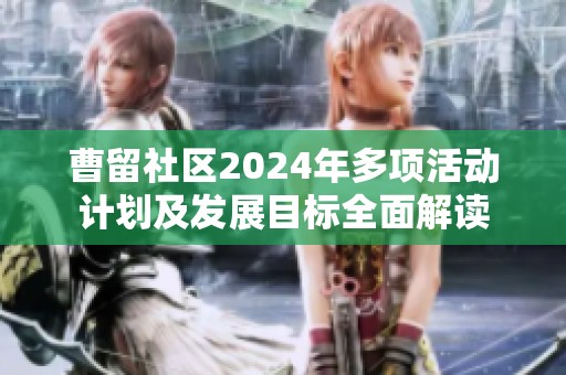 曹留社区2024年多项活动计划及发展目标全面解读