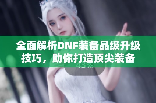 全面解析DNF装备品级升级技巧，助你打造顶尖装备